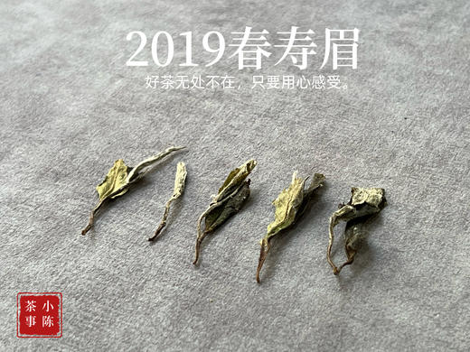 5年陈的花弄影，2019高山一级春寿眉，秀美清灵，丽色天成 商品图5