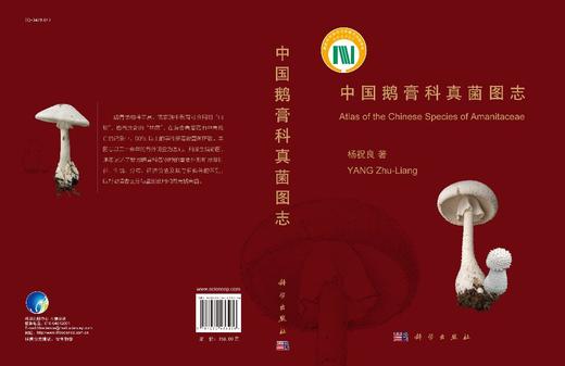 中国鹅膏科真菌图志/杨祝良 商品图2