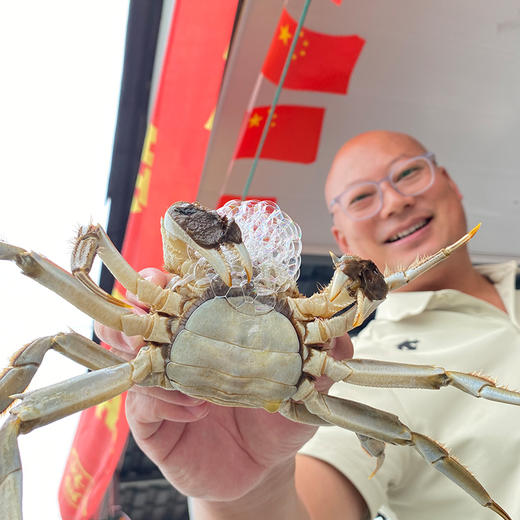 央视推荐的宋良良太湖蟹生态蟹大闸蟹 连续第9年和快抱粉相约 商品图3