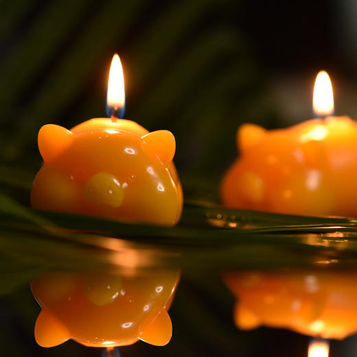 金猪生日蜡烛 商品图2