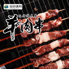 新疆精品羊肉串（有机方式养殖）