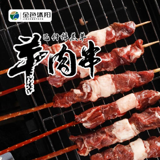 新疆精品羊肉串（有机方式养殖） 商品图0