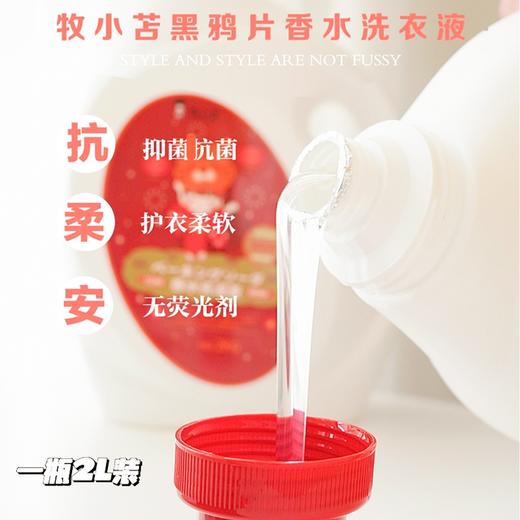 D【预售】牧小苫黑鸦片香型洗衣液/留香持久买一次一整年不用愁【9.8截单】 商品图1