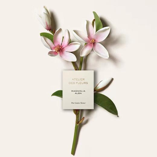 Chloe蔻依仙境花园系列香氛香水-木兰诗语 商品图1