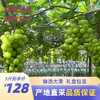 阳光玫瑰葡萄5斤装 商品缩略图0