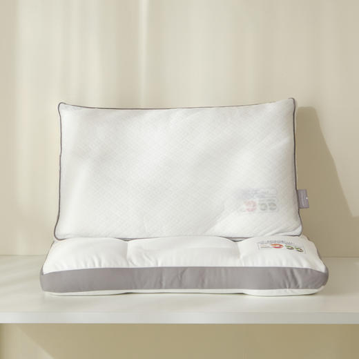 【粒子五分区枕】枕芯柔软EPS泡沫粒子枕头自由塑性透气可洗 商品图4