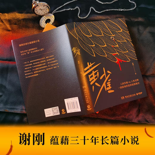 黄雀 谢刚 著 小说 商品图3
