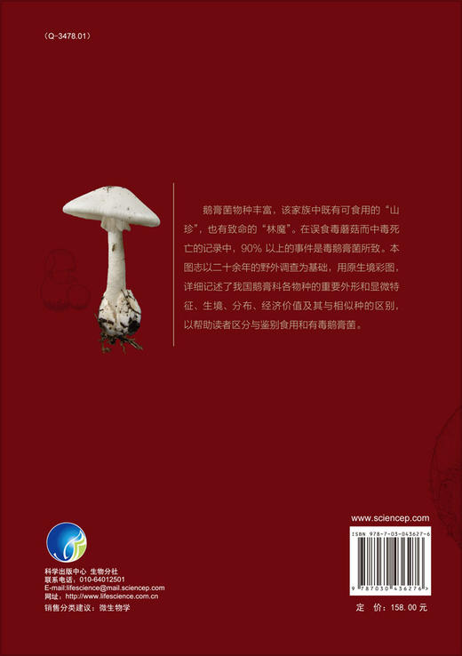 中国鹅膏科真菌图志/杨祝良 商品图1