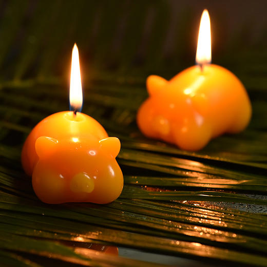 金猪生日蜡烛 商品图0