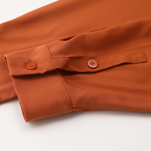 玳莎重磅100%桑蚕丝女式经典翻领真丝衬衫 CC31322 商品图4