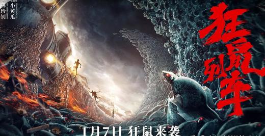 【电影】《狂鼠列车》德语版 商品图0