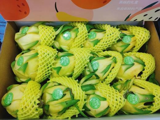 黄麒麟火龙果一箱（拼团） 商品图2
