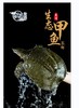 花间村纯野生甲鱼（五年以上，每只重1.8-2.2斤） 商品缩略图0