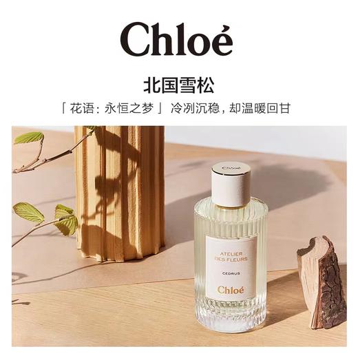 Chloe蔻依仙境花园系列香氛香水-北国雪松 商品图0