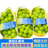 【中秋水果礼盒】(精品礼盒) 阳光玫瑰晴王葡萄礼盒 (重约4.5斤—5斤)  【当天提货】 商品缩略图0