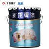 龙牌全效底漆(净味) 净味抗碱防霉内墙封闭底漆 全效底漆16L 商品缩略图0