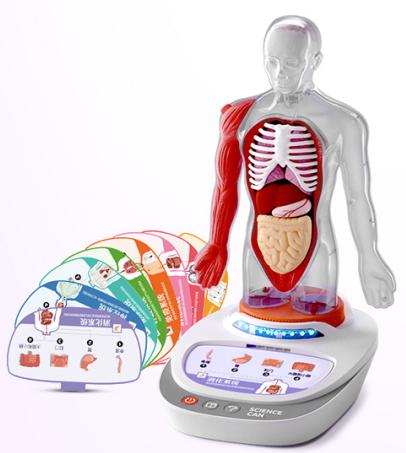 我们的身体语言百科 160022 商品图1