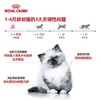 皇家天然进口离乳期猫奶糕罐头猫咪主食罐头195g/罐 商品缩略图1