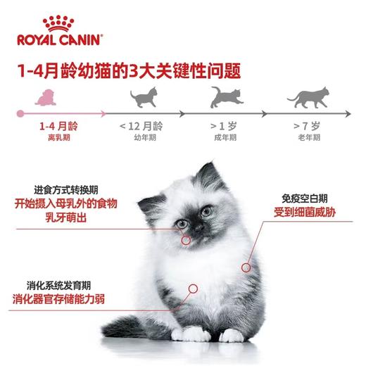皇家天然进口离乳期猫奶糕罐头猫咪主食罐头195g/罐 商品图1