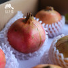 生态楚雄软籽石榴 | 合作生产*Eco-Soft-seeded pomegranate | Coproduction 商品缩略图5