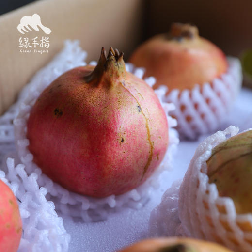 生态楚雄软籽石榴 | 合作生产*Eco-Soft-seeded pomegranate | Coproduction 商品图5