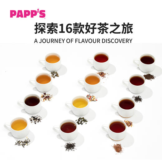 【散茶】PAPPS派帕斯精选16款原叶袋装散茶250克装 商品图1