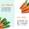 小宠磨牙小萝卜多规格 磨牙零食袋装  兔子龙猫仓鼠零食批发 商品缩略图1