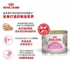 皇家天然进口离乳期猫奶糕罐头猫咪主食罐头195g/罐 商品缩略图2