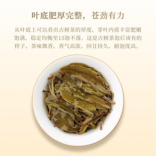 一球2021年百山百味·景迈普洱生茶饼200g 商品图3