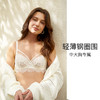 HSIA遐 内衣女3/4杯轻薄款秋冬新品绑带蕾丝性感复古大胸显小文胸情迷亚德里亚 商品缩略图1