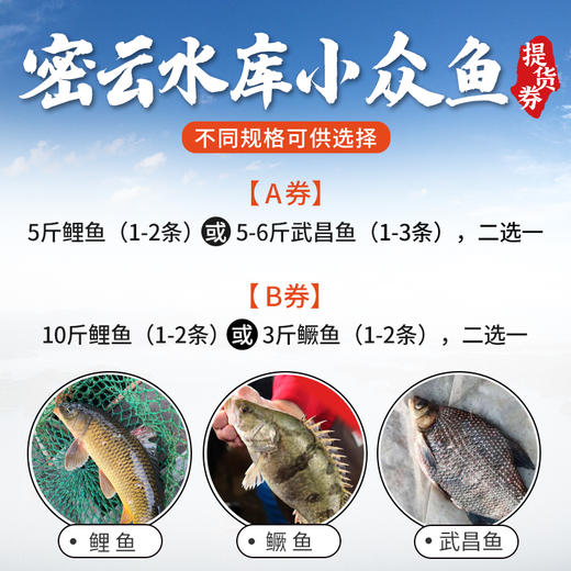 【掌柜推荐】2025年密云水库小众鱼提货卡 高端礼品卡提货券 鱼卡  水库鲤鱼、鳜鱼、武昌鱼  2种券可选 商品图1