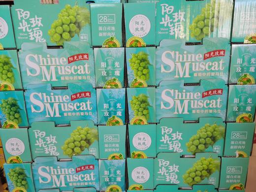 【中秋水果礼盒】(精品礼盒) 阳光玫瑰晴王葡萄礼盒 (重约4.5斤—5斤)  【当天提货】 商品图2