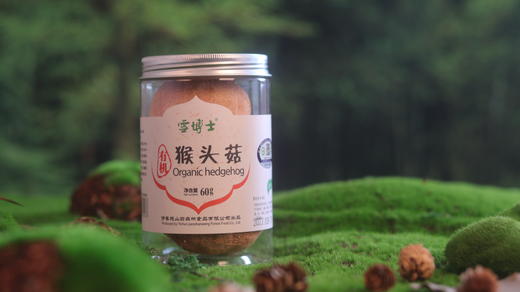 有机猴头菇   小兴安岭  雪博士支持自提 商品图1