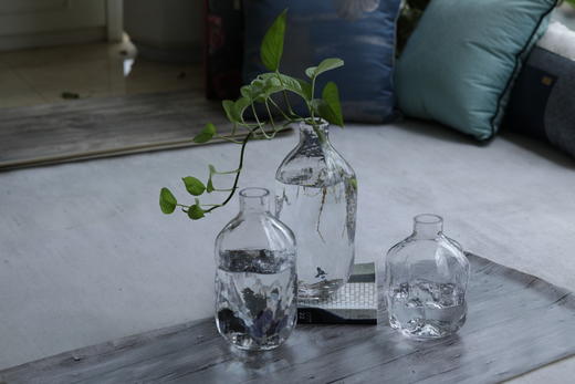 小口水瓶玻璃花瓶 商品图0