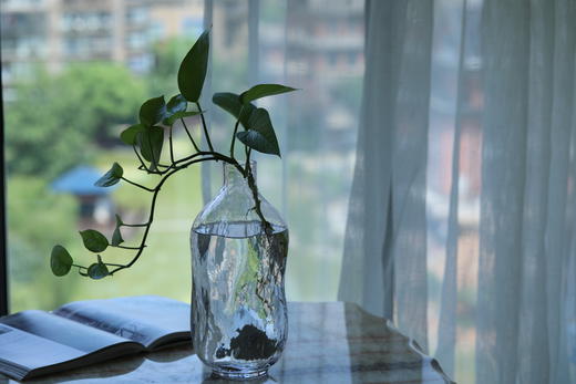 小口水瓶玻璃花瓶 商品图2