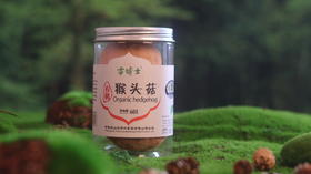 有机猴头菇   小兴安岭  雪博士支持自提