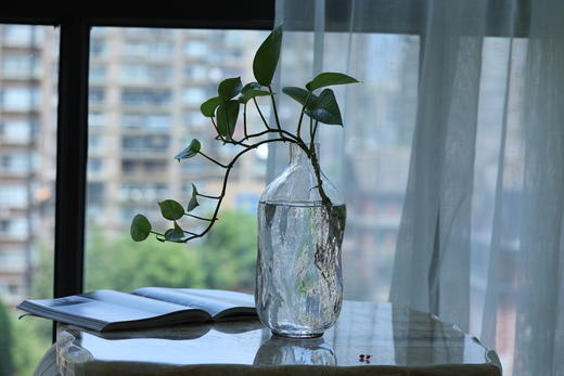 小口水瓶玻璃花瓶 商品图1