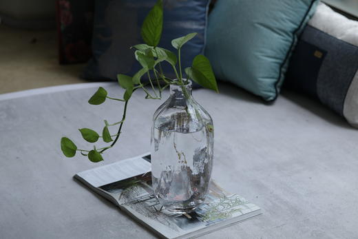 小口水瓶玻璃花瓶 商品图5