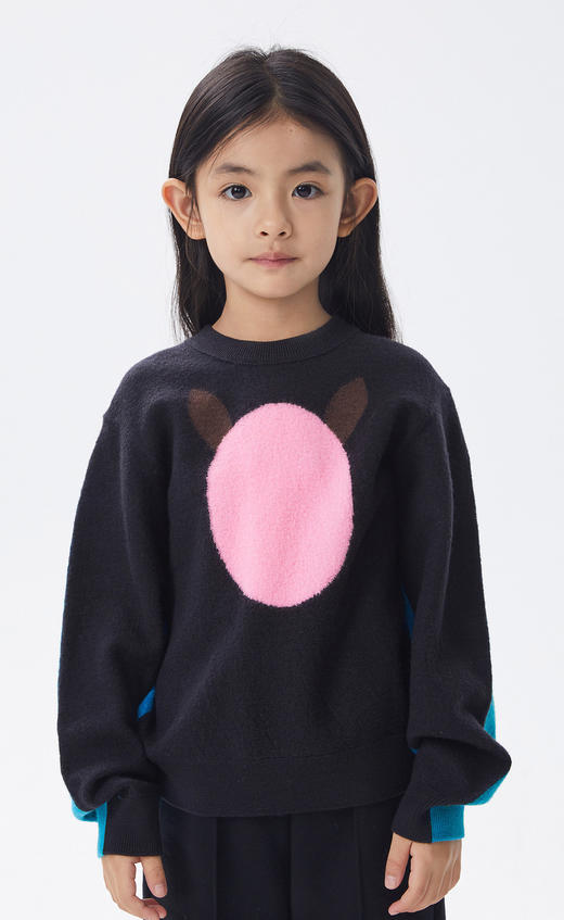 jnby  22年冬款  舒适印花长袖套头毛衫  1M0310110 商品图7