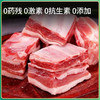 有机苏尼特羔羊肉-肋排 /内蒙古大草原 商品缩略图2