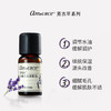 艾玛丝高地薰衣草精油10ml 商品缩略图1