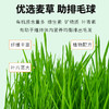 麦斯蒂猫草化毛颗粒100g猫咪零食 排毛球 商品缩略图2