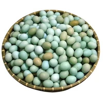 江西农业基地 散养五黑鸡绿壳 青皮土鸡蛋 30个/盒 商品图0