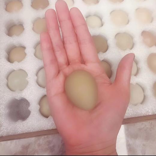 【七彩山鸡蛋】30枚/60枚 礼盒装 商品图1