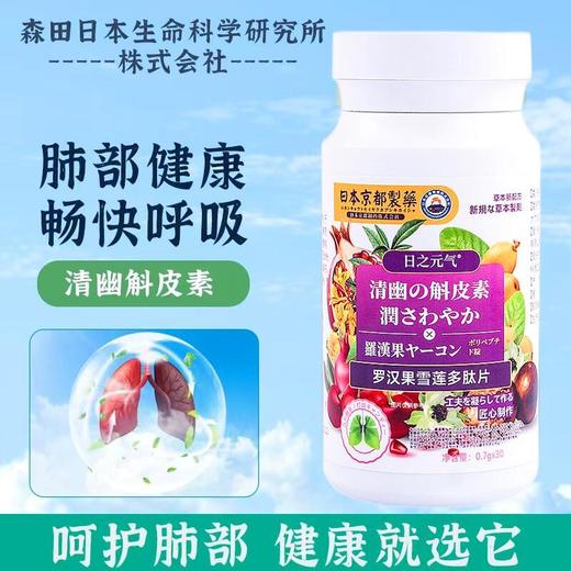 【第二瓶立减20元】 日の元気罗汉果雪莲多肽片 熬夜加班烟酒常伴 雾霾粉尘咳嗽多痰 罗汉果雪莲橘皮养护 秋季清润喉肺 商品图0