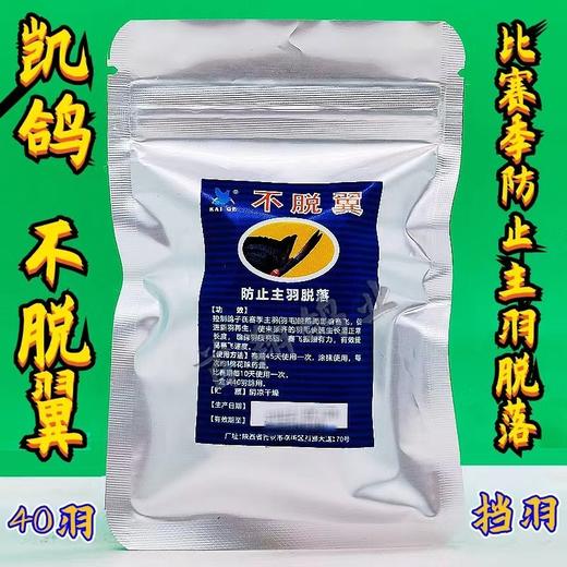 凯鸽【不脱翼】40羽赛前健康总调整鸽子药信鸽用品包邮 商品图0