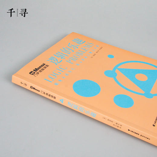 逻辑的乐趣 商品图4