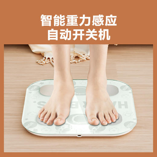 【921海尔大促】海尔兄弟 智能IP体脂秤 智家直连 ZNC01-C8 商品图1