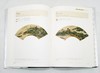 南京博物院珍藏大系：《清代娄东虞山绘画》，精装，8开巨册，南京博物院编，江苏凤凰美术出版社2013年版，定价1680，售价688元。品相9成左右。 商品缩略图13