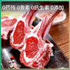 有机苏尼特羔羊肉-法式羊排 /内蒙古大草原 商品缩略图4